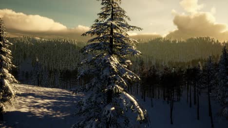 Majestätische-Winterlandschaft,-Die-Im-Sonnenlicht-Erstrahlt